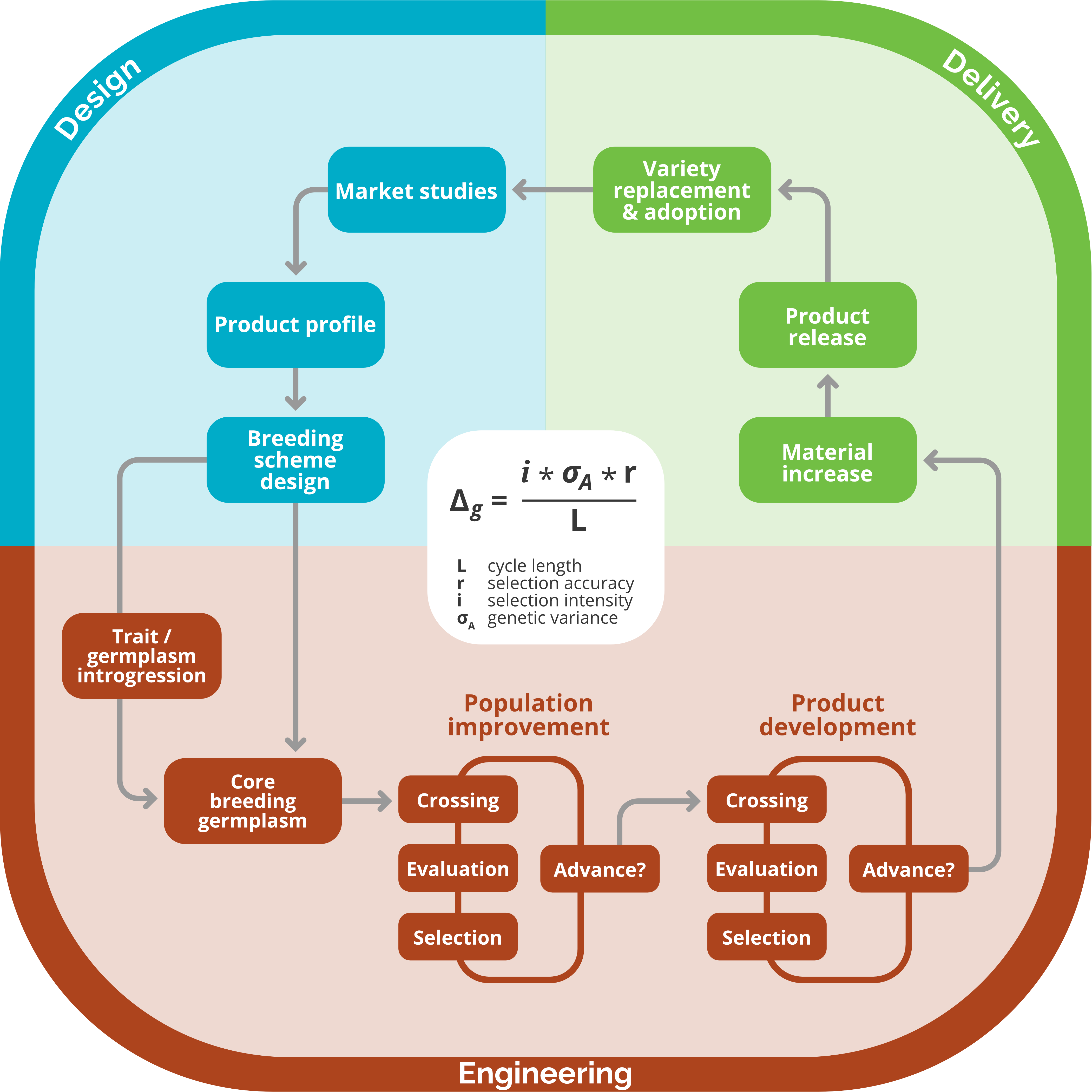 How Can I Optimize My Breeding Scheme? | Excellenceinbreeding